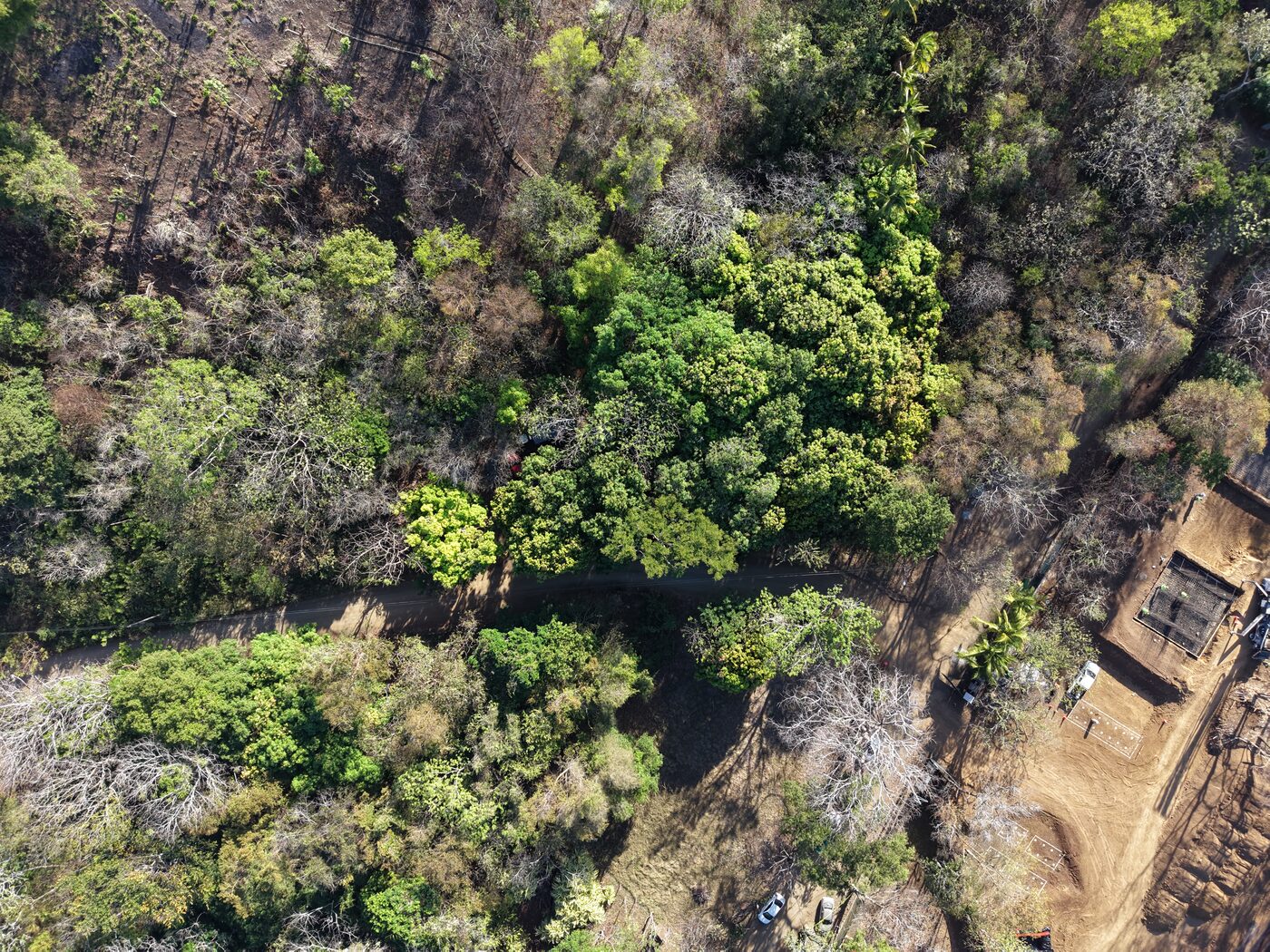 DJI_20260326080540_0015_D.JPG