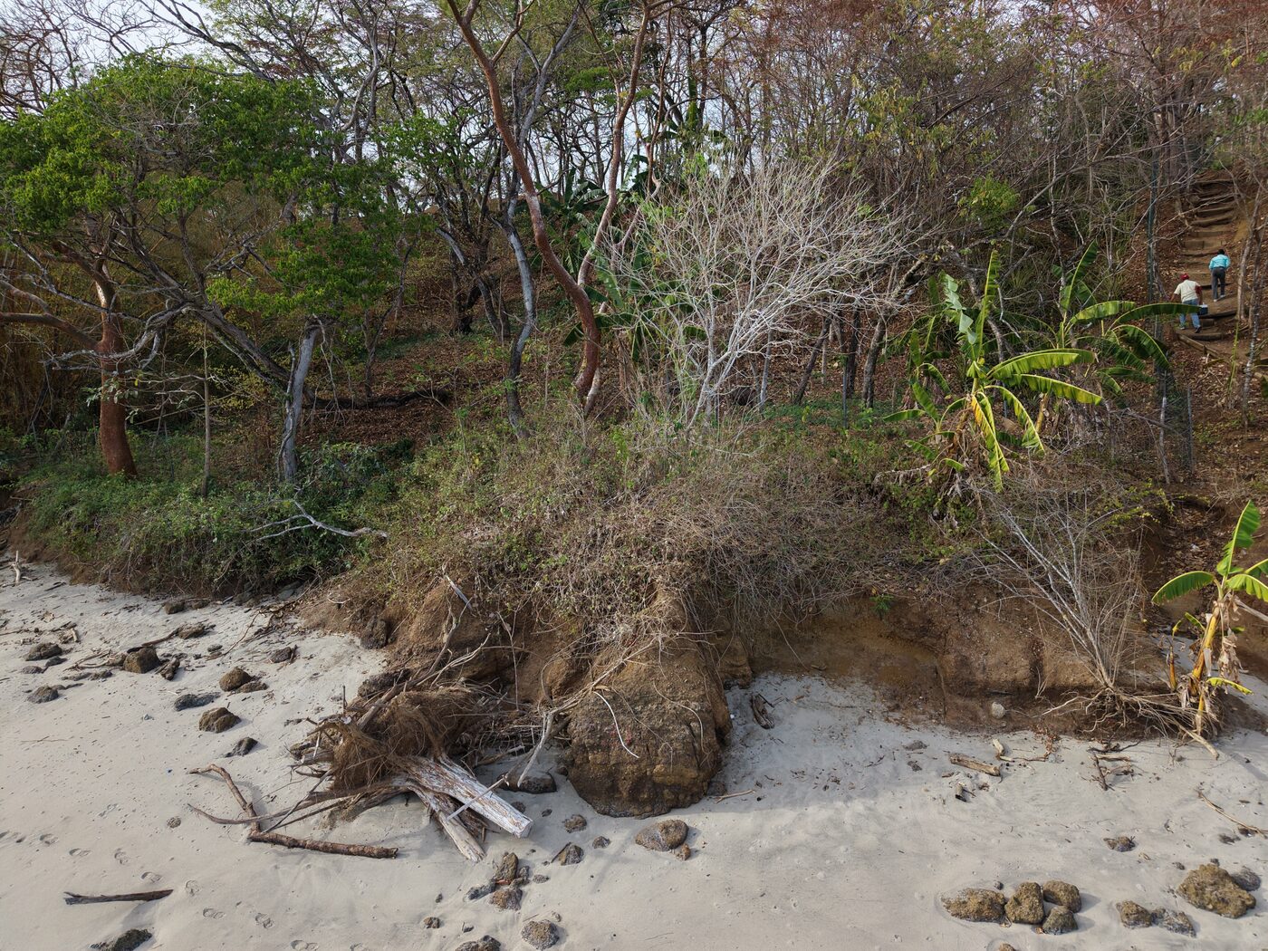 DJI_20260406164033_0099_D.JPG