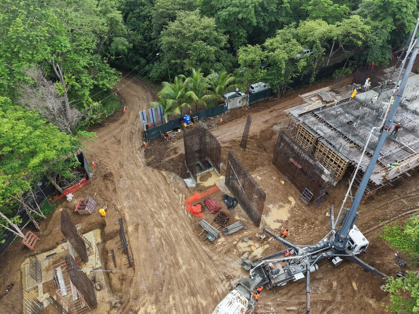 DJI_20260805134956_0302_D.JPG